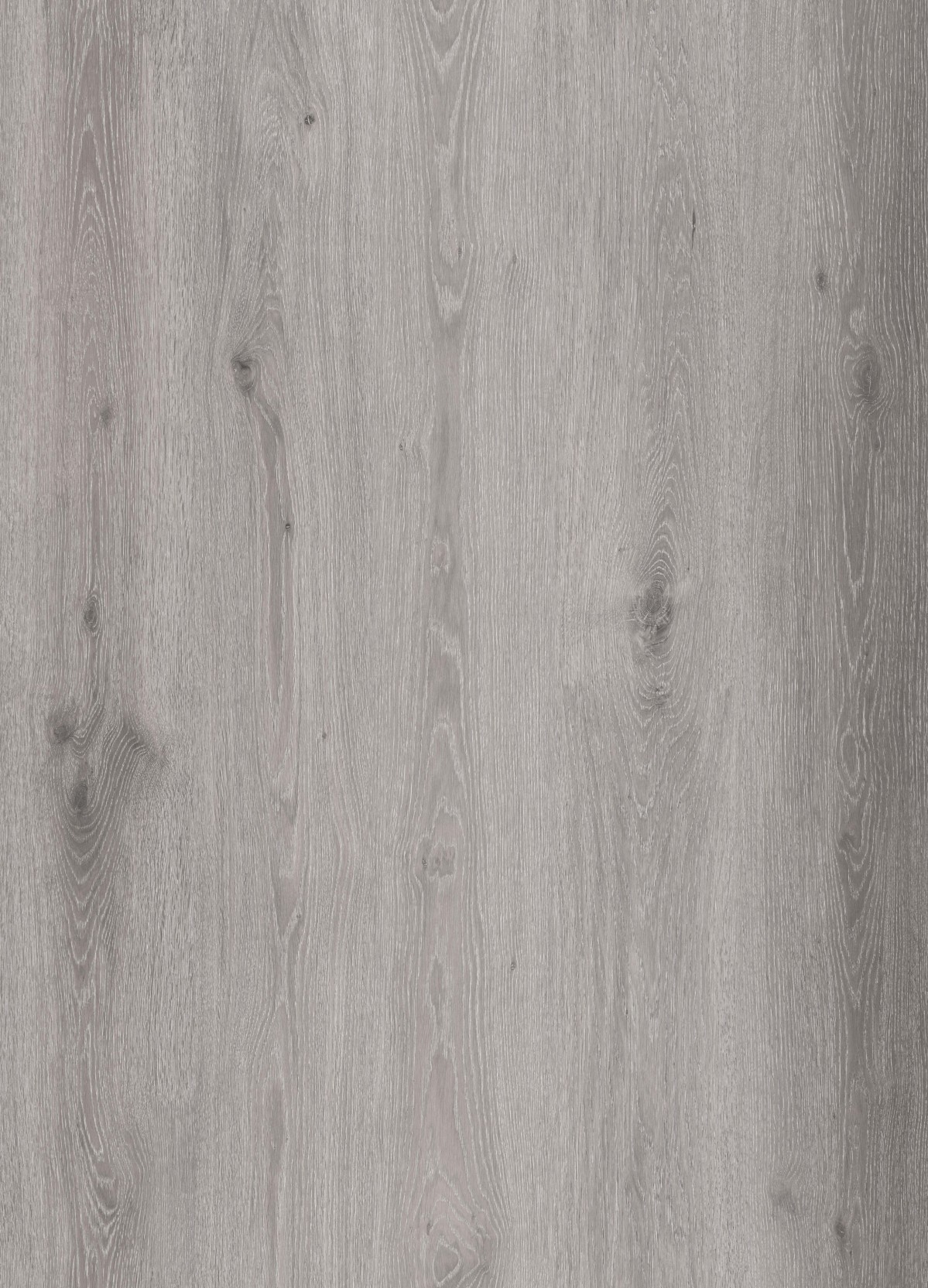 Ламинат kossen classic oak silver дуб серебро